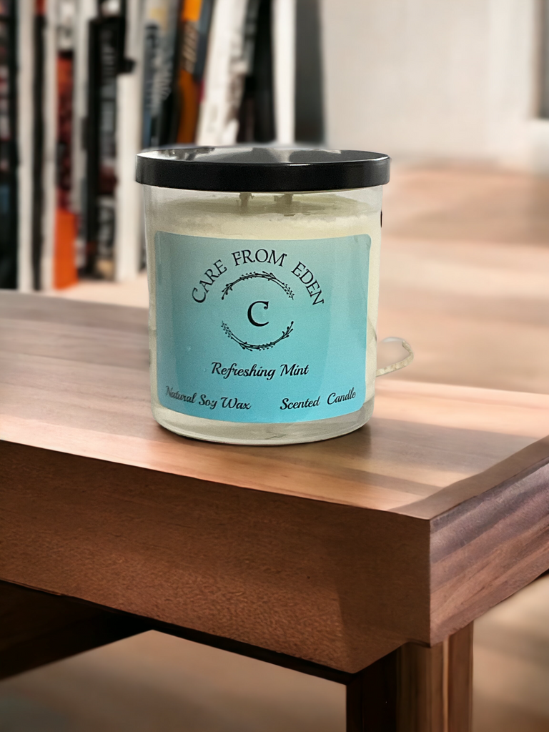 Double Wick Scented Candle : Refreshing Mint 9 oz