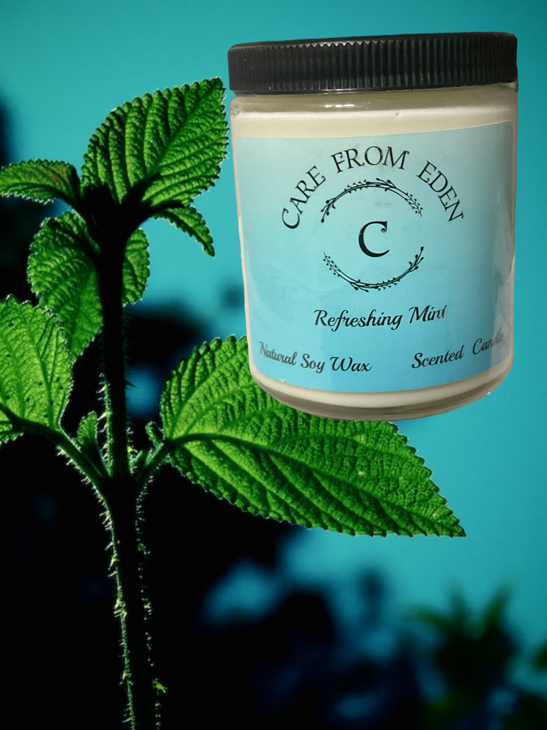 Double Wick Scented Candle: Refreshing Mint 7 oz